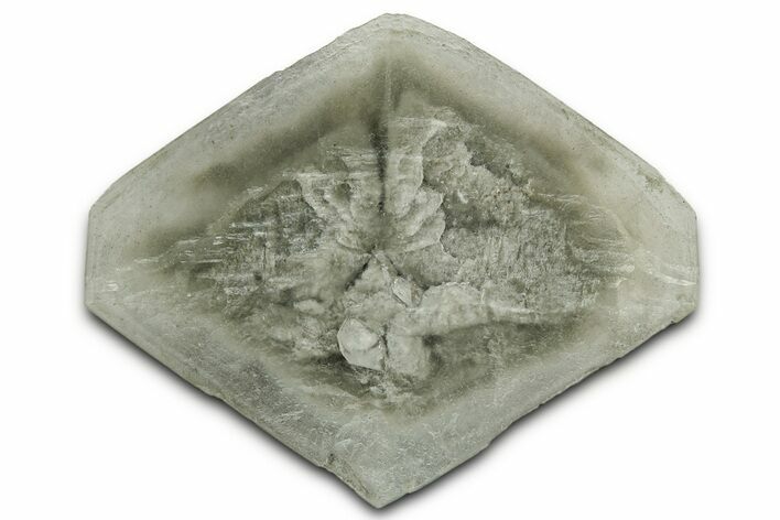 Selenite Crystal - Elder County, Utah #326995